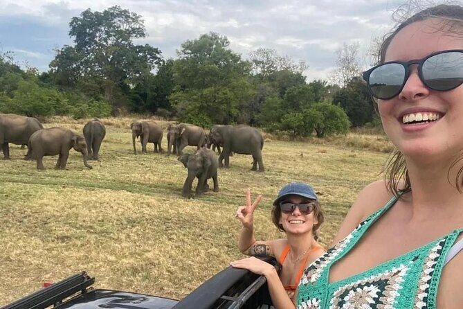 02 Days Fascinating Tour Colombo,Sigiriya,Safari,Dambulla,Kandy - Exploring the Highlights of a 2-Day Sri Lanka Adventure