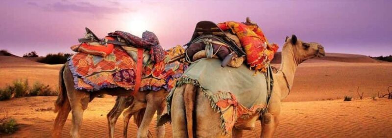 02- Days Golden City Of Rajasthan, Jaisalmer Desert Tour - FAQ