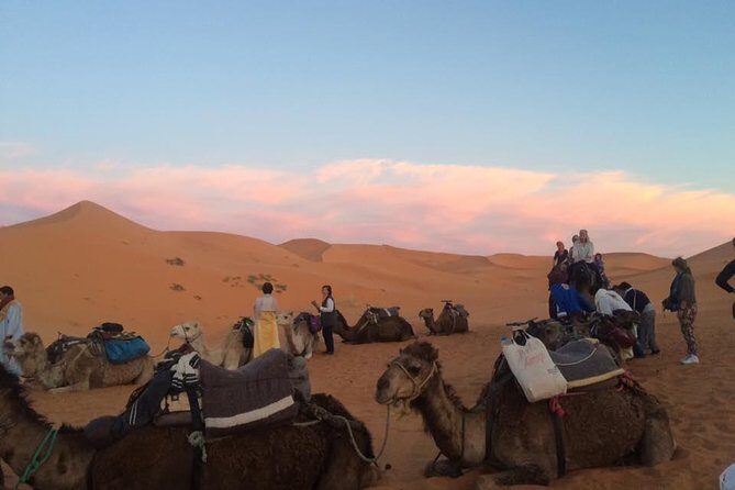 02 Days Marrakech - Ouarzazate - Zagora - Authentic Experiences and Highlights