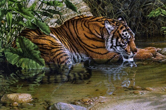 03 Days Private Wildlife Ranthambore Tiger Tour from Jaipur - Introduction: A Closer Look at the Ranthambore Tiger Tour