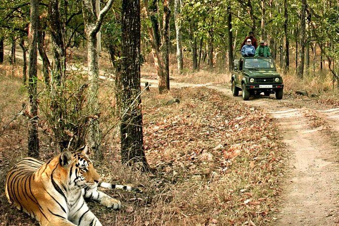 03 Days Private Wildlife Ranthambore Tiger Tour from Jaipur - FAQs