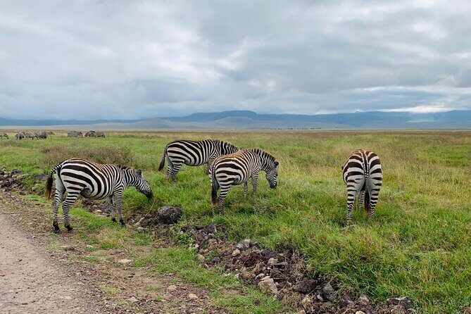 04 Days Tarangire, Serengeti and Ngorongoro crater group (Camping - The First Day: Tarangire National Park