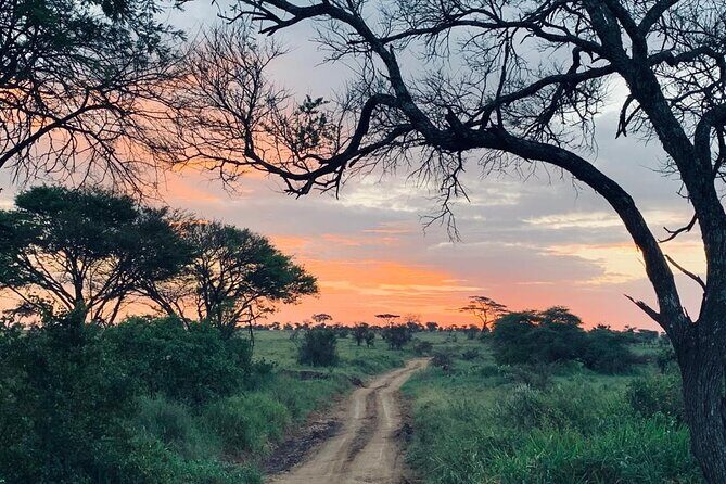 04 Days Tarangire, Serengeti and Ngorongoro crater group (Camping - The Guides & Service