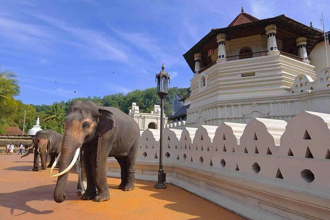 04 Days Tour - Sigiriya , Kandy and Nuwara Eliya - Key Points