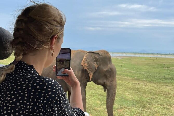 04 Hours Safari Jeep Tours - Key Points