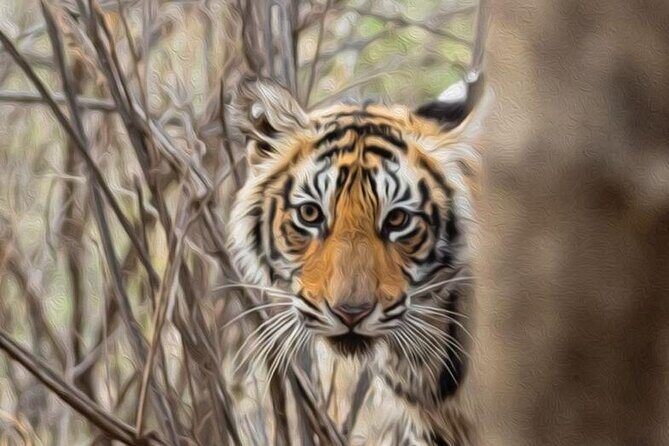 05 Days - Private Luxury Golden Triangle Tour with Ranthambore - A Complete Breakdown of the Tour