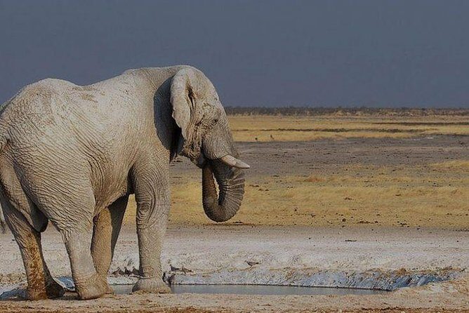 06 Days Etosha, Swakopmund and Sossusvlei | Guided Lodge - In-Depth Review of the 6-Day Namibia Tour