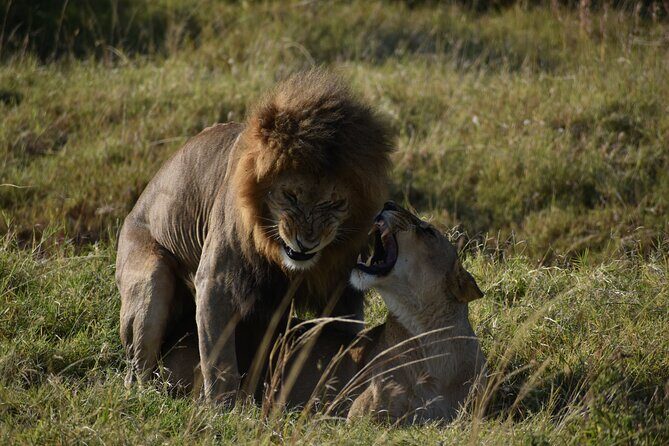 06 Days Kenya LuxuryLodge Safari - Final Thoughts