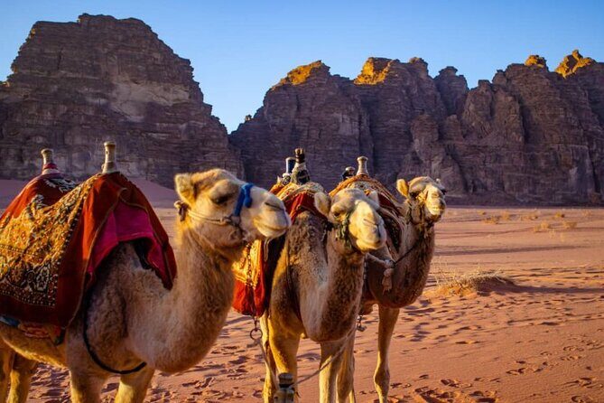 07 days and 06 nights Jordan Jewels - What Makes This Tour Special?