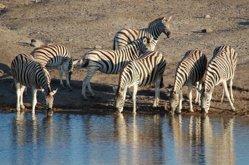 07 Days Highlight Of Namibia | Auto Tour Camping - Skeleton Coast: A Rugged and Eerie Beauty