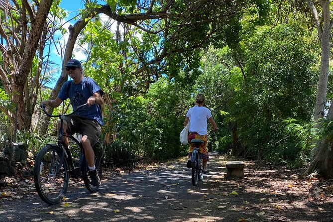 1-2-circle-island-north-shore-fun-with-the-surf-bus