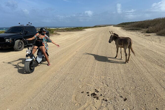 1-2-day-4-hour-electric-scooter-rental-in-aruba