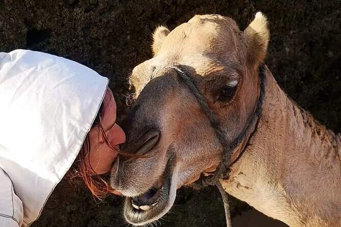 1/2 Day Camel Trekking in Essaouira with Meals - Start Point and General Structure