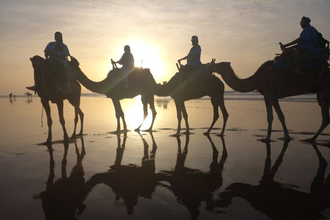 1/2 Day Camel Trekking in Essaouira with Meals - Camel Trek Through Diabat Village and Coastal Dunes
