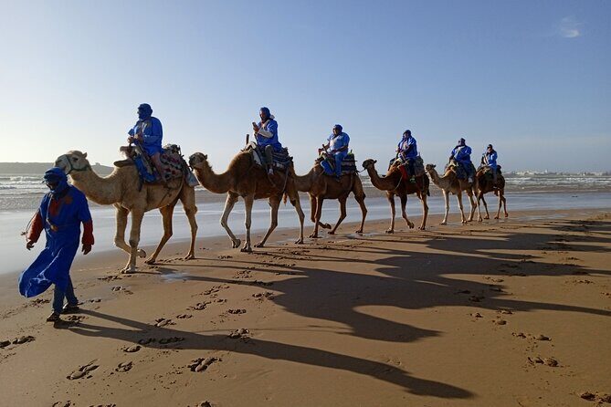 1/2 Day Camel Trekking in Essaouira with Meals - The Meal: An Authentic Moroccan Feast