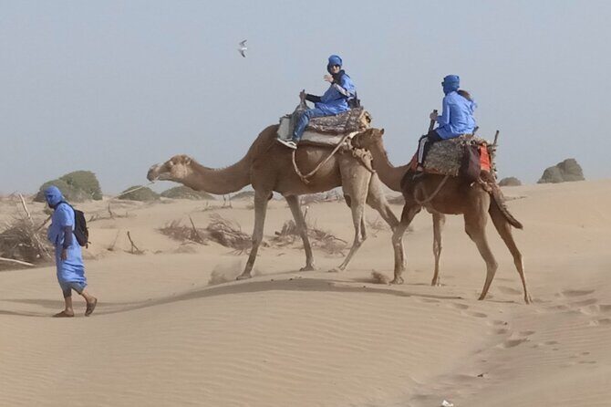 1/2 Day Camel Trekking in Essaouira with Meals - Practical Considerations