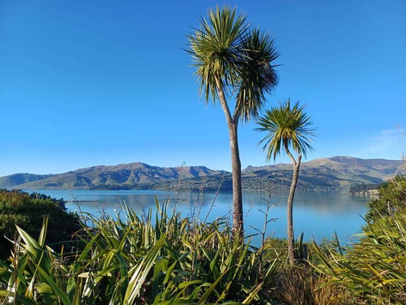 1/2-Day Christchurch Scenic Highlights Small Group Tour - Key Points