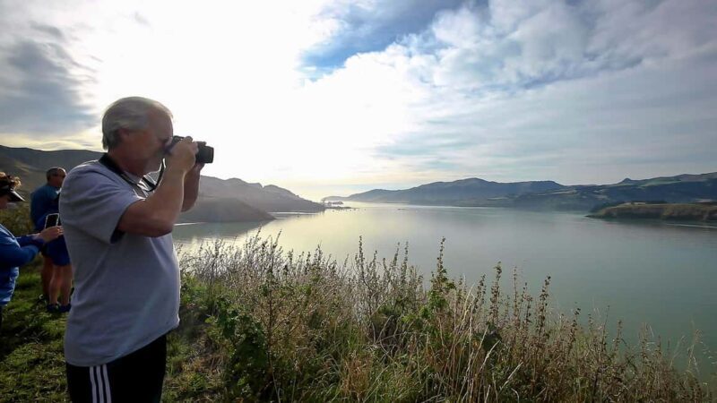 1/2-Day Christchurch Scenic Highlights Small Group Tour - Final Thoughts