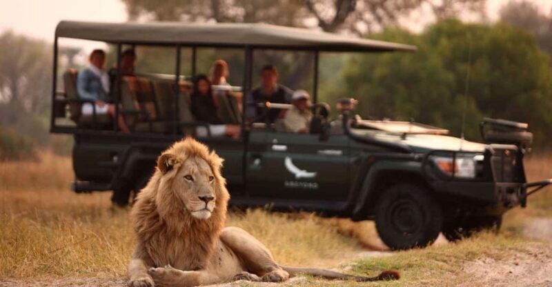 1/2 Day Hluhluwe Imfolozi Big 5 Tour from Richards Bay - Introduction