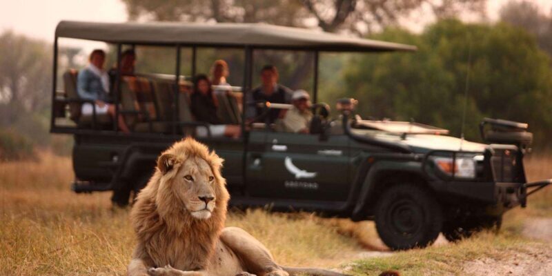 1/2 Day Hluhluwe Imfolozi Big 5 Tour from Richards Bay - Analyzing the Experience: What Works Well