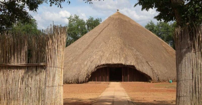 1/2 Day Safari from Durban - Cultural Experience at the Zulu Village