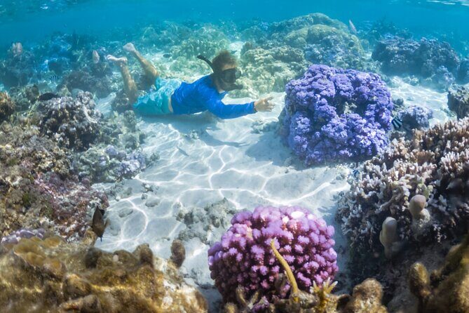 1/2 day Tahaa coral garden - departure Raiatea / ideal for cruise passengers - An Overview of the Tour Experience