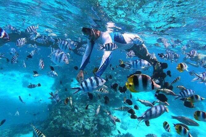 1/2 day Tahaa coral garden - departure Raiatea / ideal for cruise passengers - The Practical Details