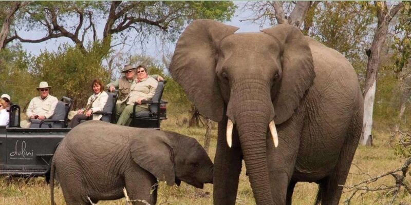 1/2 Day Tala Game Reserve & Natal Lion Park from Durban - Key Points