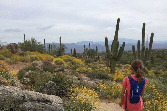 1-2-hour-sonoran-desert-private-guided-hiking-tour
