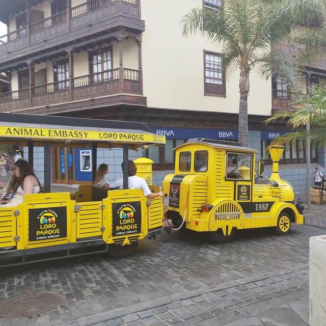 1-2-hour-walking-route-through-puerto-de-la-cruz-tenerife