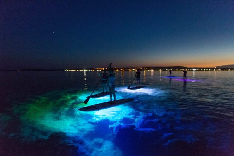 1.5-hour Clear Kayak Rental: Discover the Underwater World - The Sum Up