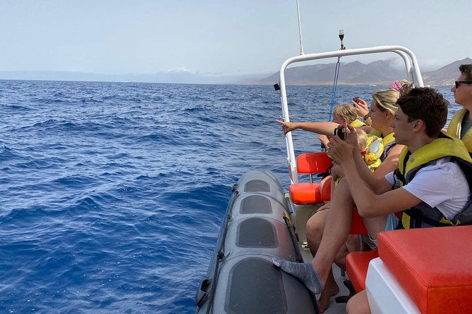 1-5-hour-dolphin-and-whale-watching-tour