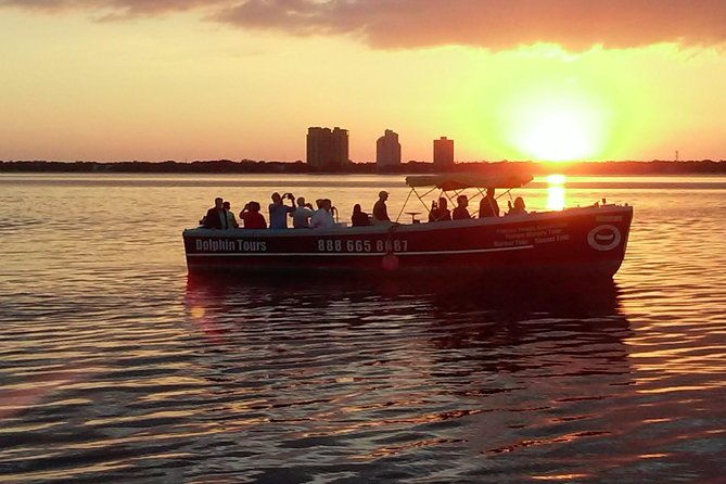 1-5-hour-dolphin-sightseeing-cruise-from-tampa-2