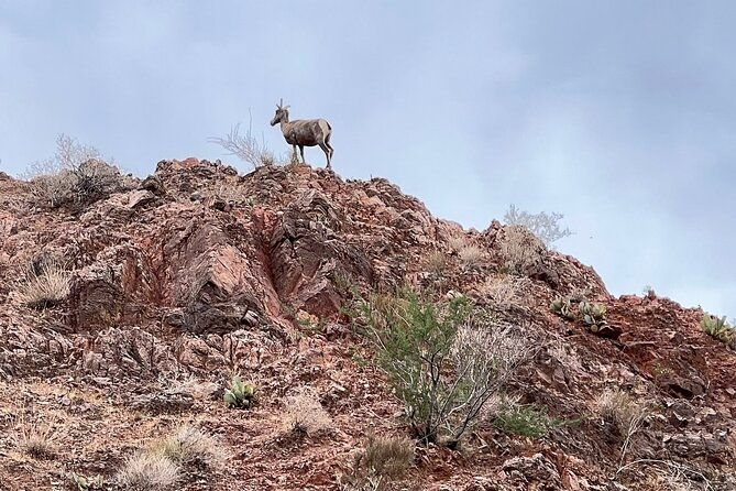 1-5-hour-guided-raft-tour-at-base-of-hoover-dam-with-transport-2