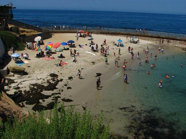 1-5-hour-walking-tour-from-la-jolla-in-san-diego