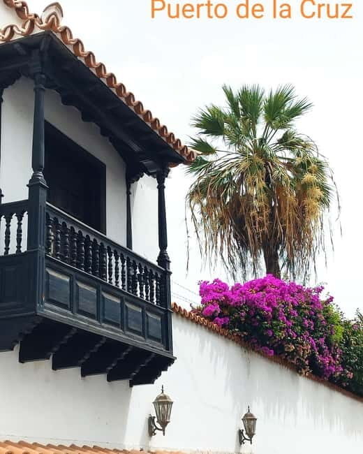 1.5-hour walking tour of Puerto de la Cruz, Tenerife. - Brief Overview