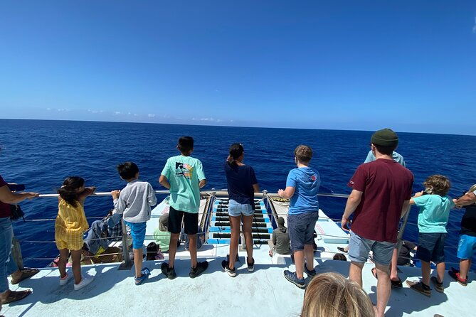 1-5-hour-whale-watching-cruise-with-transportation