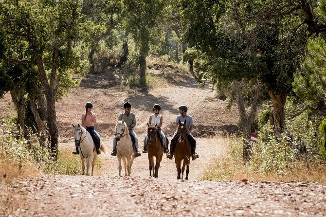 1-5-hr-horseback-riding-montevideo-uruguay-with-transportation