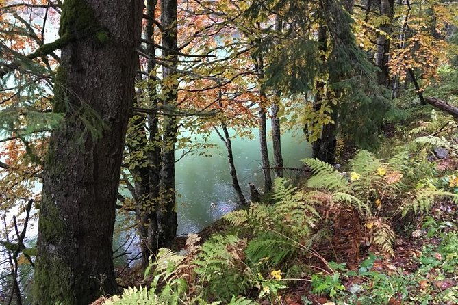 1-day-4x4-tour-in-carpathian-mountains-2