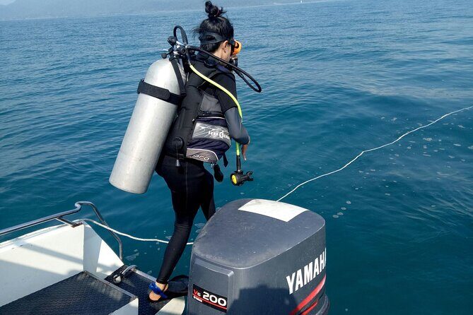 1-Day Adventure in Diving - Who Is This Tour Best Suited For?