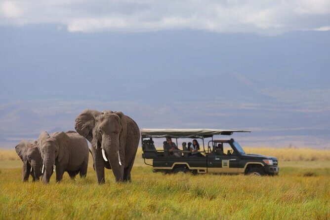 1-Day Amboseli Safari - Key Points