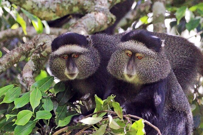 1 Day: Arusha National Park - The Sum Up