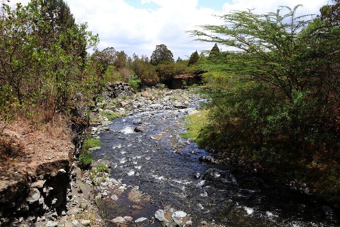 1 Day Arusha national park (Game drive and walking safari). - What to Expect from the Itinerary