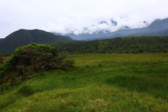1 Day Arusha national park (Game drive and walking safari). - The Sum Up