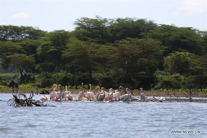 1 Day Bike Tour to Hells Gate And Lake Naivasha - The Sum Up: Is This Tour Worth It?