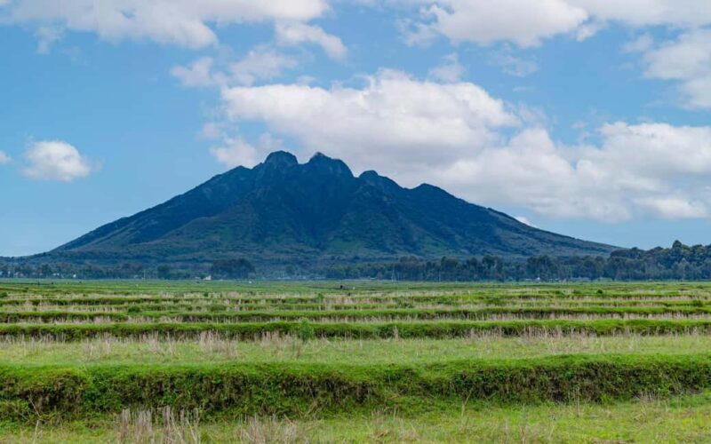 1 Day Bisoke Volcano Hike Tour - An Overview of the Tour Experience