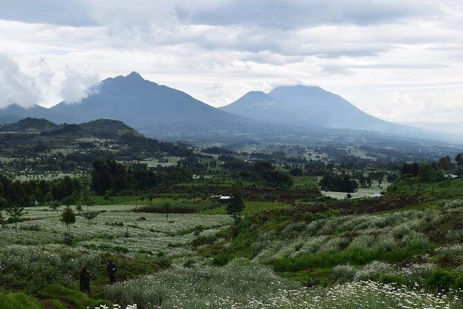 1-Day Bisoke Volcano Hiking Experience - Who Will Love This Tour?