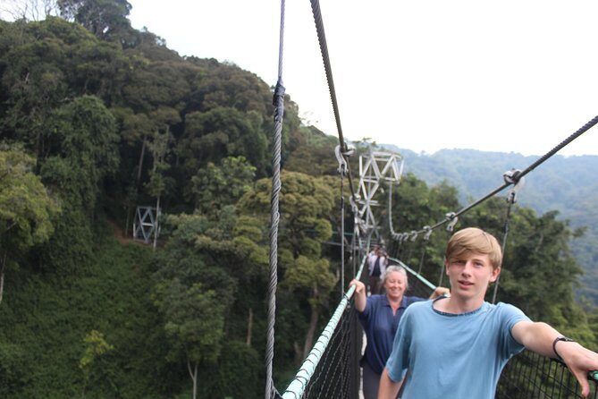 1 Day Canopy walk way in Nyungwe Natioinal park - Key Points