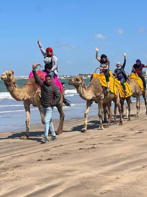 1-Day Casablanca & Mohammadia. Moroccan Lunch and Camel Ride - Key Points