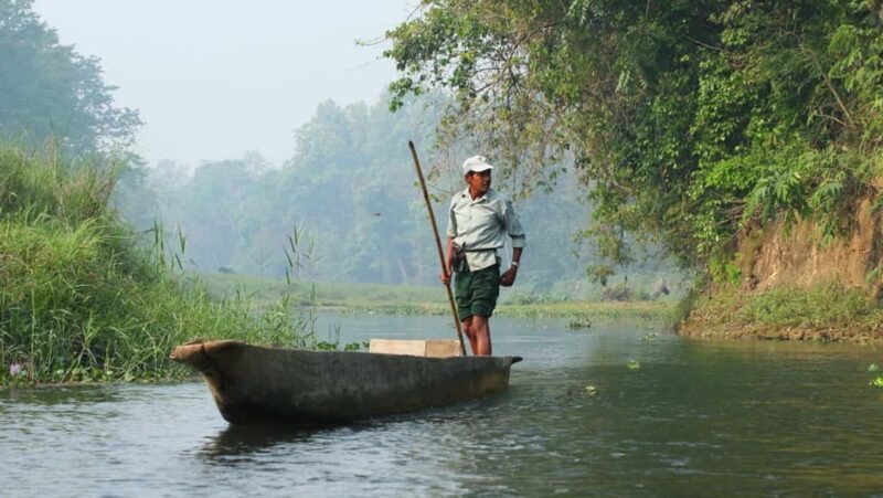 1 Day Chitwan: Jungle Safari, Canoe Ride, Tharu Dance Show - Transport, Timing, and Practical Details